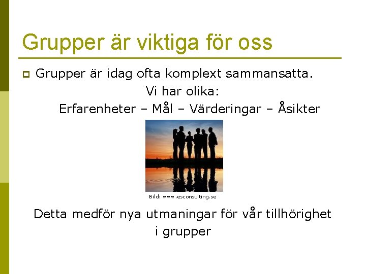 Grupper är viktiga för oss p Grupper är idag ofta komplext sammansatta. Vi har