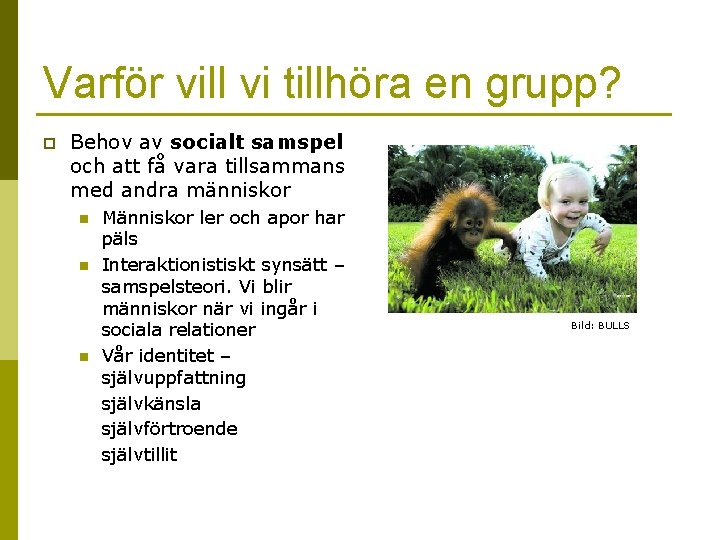 Varför vill vi tillhöra en grupp? p Behov av socialt samspel och att få