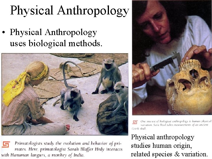 Physical Anthropology • Physical Anthropology uses biological methods. Physical anthropology studies human origin, related