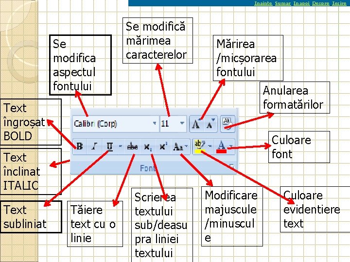 Inainte Sumar Inapoi Despre Iesire Se modifica aspectul fontului Se modifică mărimea caracterelor Mărirea