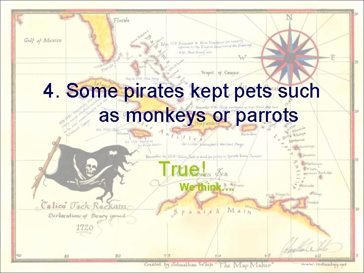 4. Some pirates kept pets such as monkeys or parrots True! We think…. 
