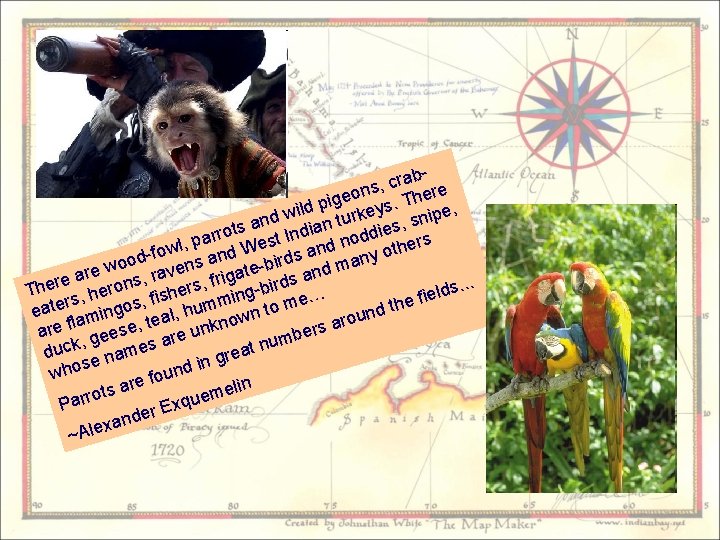 abr c , ons There e g i ld p rkeys. i w pe,