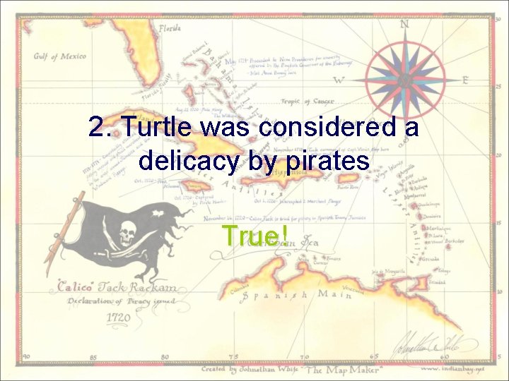 2. Turtle was considered a delicacy by pirates True! 