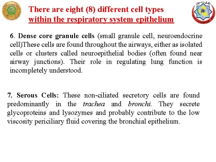 There are eight (8) different cell types within the respiratory system epithelium 6. Dense