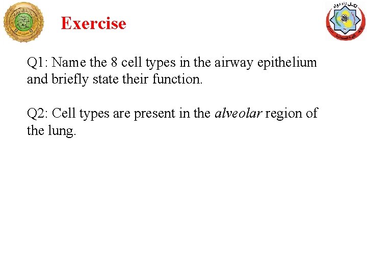 Exercise Q 1: Name the 8 cell types in the airway epithelium and briefly