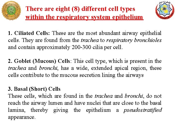 There are eight (8) different cell types within the respiratory system epithelium 1. Ciliated