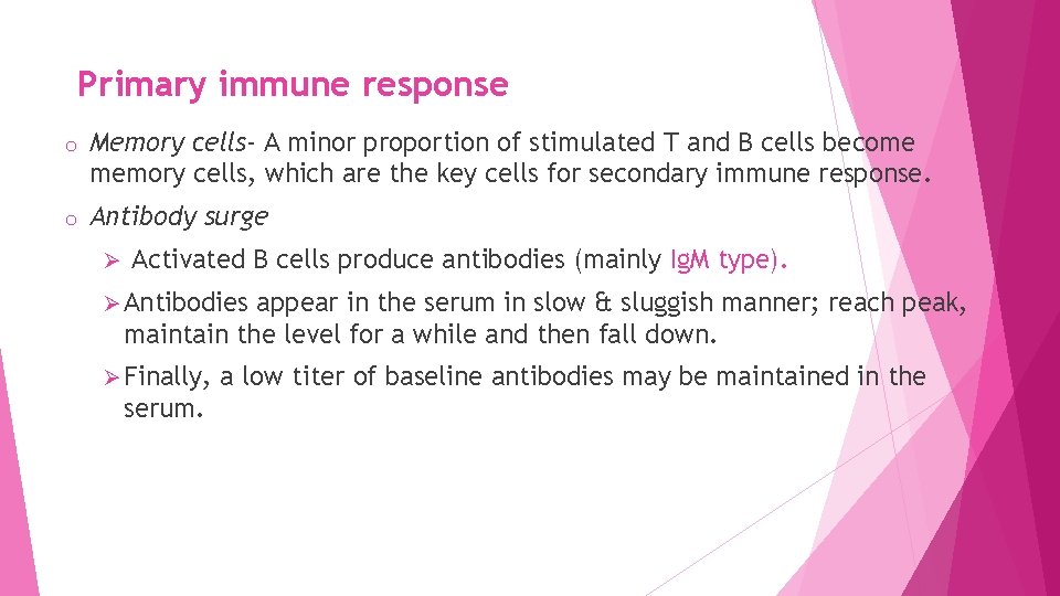 Primary immune response o Memory cells- A minor proportion of stimulated T and B