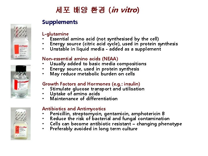 세포 배양 환경 (in vitro) Supplements L-glutamine • Essential amino acid (not synthesised by 세포 배양 환경 (in vitro) Supplements L-glutamine • Essential amino acid (not synthesised by