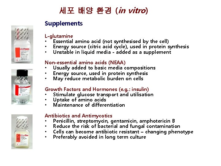 세포 배양 환경 (in vitro) Supplements L-glutamine • Essential amino acid (not synthesised by