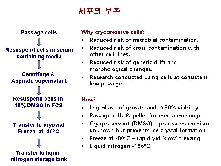 세포의 보존 Passage cells Resuspend cells in serum containing media Centrifuge & Aspirate supernatant