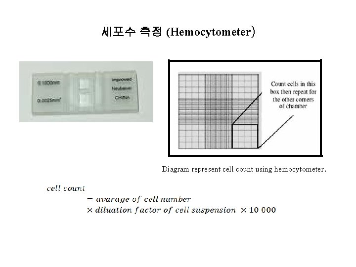 세포수 측정 (Hemocytometer) Diagram represent cell count using hemocytometer. 세포수 측정 (Hemocytometer) Diagram represent cell count using hemocytometer.