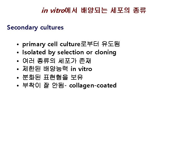 in vitro에서 배양되는 세포의 종류 Secondary cultures • • • primary cell culture로부터 유도됨