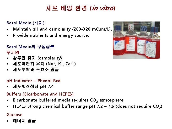 세포 배양 환경 (in vitro) Basal Media (배지) • Maintain p. H and osmolarity 세포 배양 환경 (in vitro) Basal Media (배지) • Maintain p. H and osmolarity