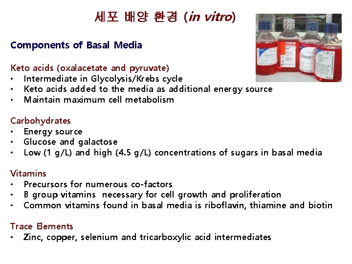 세포 배양 환경 (in vitro) Components of Basal Media Keto acids (oxalacetate and pyruvate)