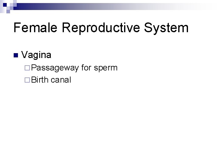 Female Reproductive System n Vagina ¨ Passageway ¨ Birth canal for sperm Female Reproductive System n Vagina ¨ Passageway ¨ Birth canal for sperm