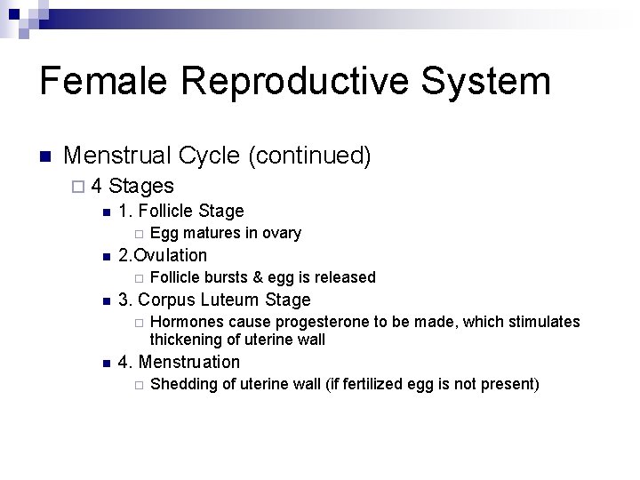 Female Reproductive System n Menstrual Cycle (continued) ¨ 4 Stages n 1. Follicle Stage