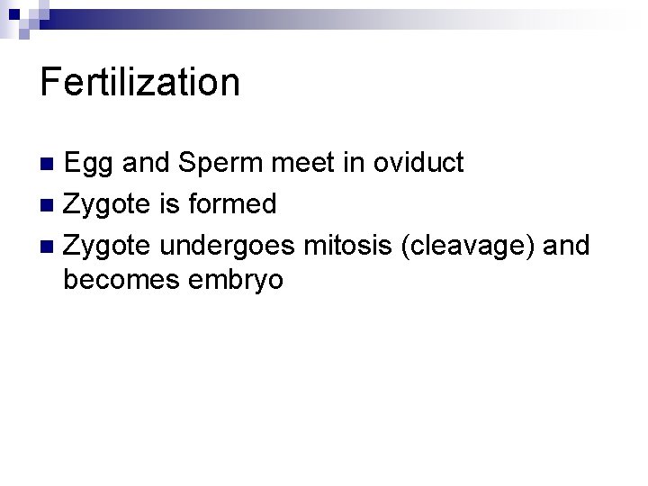 Fertilization Egg and Sperm meet in oviduct n Zygote is formed n Zygote undergoes Fertilization Egg and Sperm meet in oviduct n Zygote is formed n Zygote undergoes