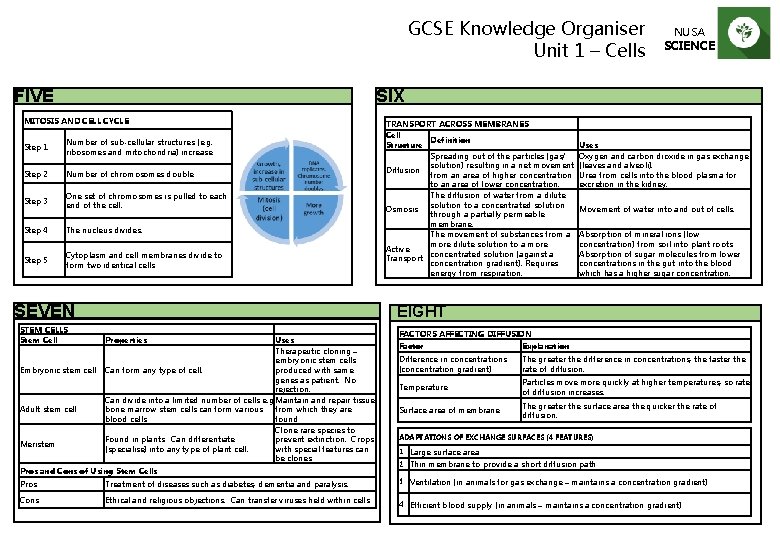GCSE Knowledge Organiser Unit 1 – Cells FIVE SIX MITOSIS AND CELL CYCLE Step