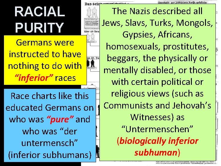RACIAL PURITY The Nazis described all Jews, Slavs, Turks, Mongols, Gypsies, Africans, Germans were