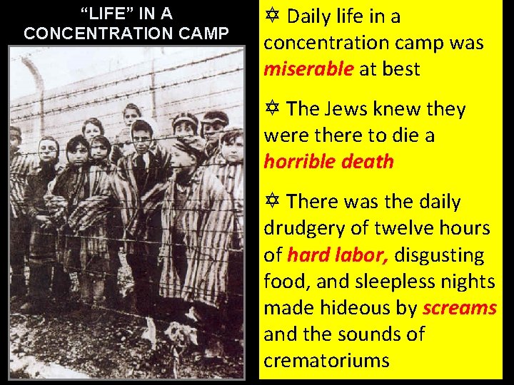 “LIFE” IN A CONCENTRATION CAMP Y Daily life in a concentration camp was miserable