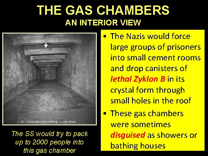 THE GAS CHAMBERS AN INTERIOR VIEW The SS would try to pack up to