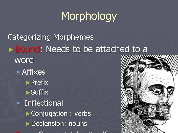 Morphology Categorizing Morphemes ►Bound: word Needs to be attached to a § Affixes ►Prefix