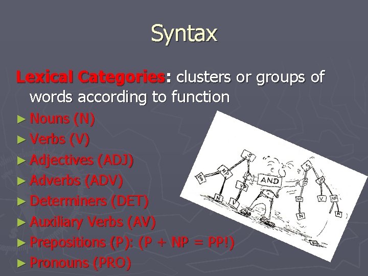 Syntax Lexical Categories: clusters or groups of words according to function ► Nouns (N)