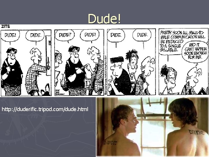 Dude! http: //duderific. tripod. com/dude. html 