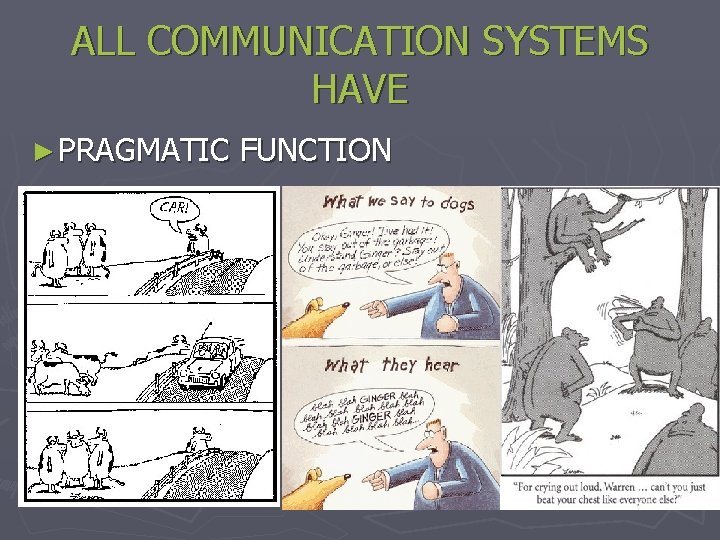 ALL COMMUNICATION SYSTEMS HAVE ► PRAGMATIC FUNCTION 