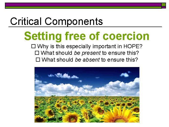 Critical Components Setting free of coercion o Why is this especially important in HOPE?