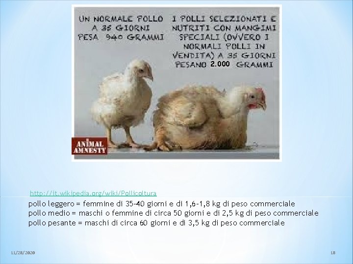 2. 000 http: //it. wikipedia. org/wiki/Pollicoltura pollo leggero = femmine di 35 -40 giorni 2. 000 http: //it. wikipedia. org/wiki/Pollicoltura pollo leggero = femmine di 35 -40 giorni