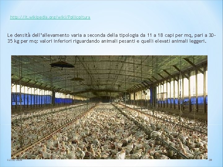 http: //it. wikipedia. org/wiki/Pollicoltura Le densità dell’allevamento varia a seconda della tipologia da 11 http: //it. wikipedia. org/wiki/Pollicoltura Le densità dell’allevamento varia a seconda della tipologia da 11