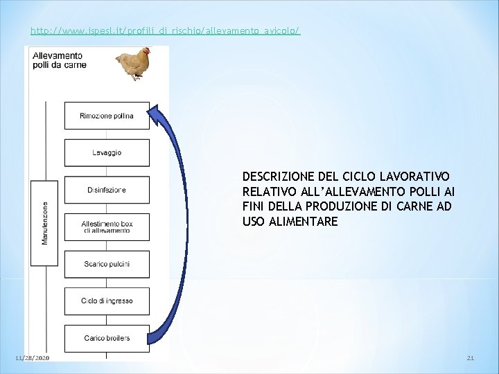 http: //www. ispesl. it/profili_di_rischio/allevamento_avicolo/ DESCRIZIONE DEL CICLO LAVORATIVO RELATIVO ALL’ALLEVAMENTO POLLI AI FINI DELLA http: //www. ispesl. it/profili_di_rischio/allevamento_avicolo/ DESCRIZIONE DEL CICLO LAVORATIVO RELATIVO ALL’ALLEVAMENTO POLLI AI FINI DELLA
