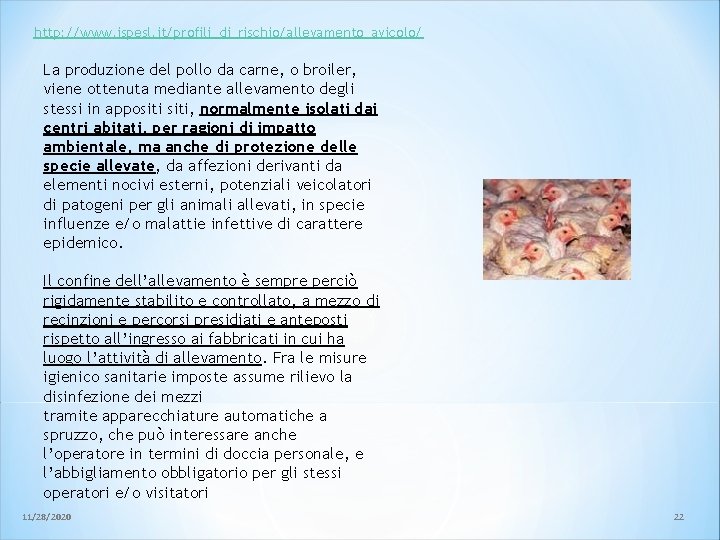 http: //www. ispesl. it/profili_di_rischio/allevamento_avicolo/ La produzione del pollo da carne, o broiler, viene ottenuta http: //www. ispesl. it/profili_di_rischio/allevamento_avicolo/ La produzione del pollo da carne, o broiler, viene ottenuta