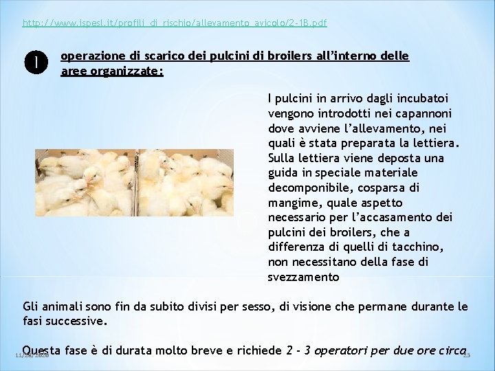 http: //www. ispesl. it/profili_di_rischio/allevamento_avicolo/2 -1 B. pdf operazione di scarico dei pulcini di broilers http: //www. ispesl. it/profili_di_rischio/allevamento_avicolo/2 -1 B. pdf operazione di scarico dei pulcini di broilers