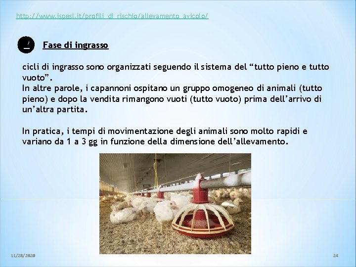 http: //www. ispesl. it/profili_di_rischio/allevamento_avicolo/ Fase di ingrasso cicli di ingrasso sono organizzati seguendo il http: //www. ispesl. it/profili_di_rischio/allevamento_avicolo/ Fase di ingrasso cicli di ingrasso sono organizzati seguendo il