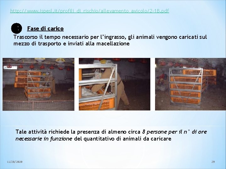 http: //www. ispesl. it/profili_di_rischio/allevamento_avicolo/2 -1 B. pdf Fase di carico Trascorso il tempo necessario http: //www. ispesl. it/profili_di_rischio/allevamento_avicolo/2 -1 B. pdf Fase di carico Trascorso il tempo necessario