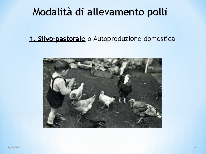 Modalità di allevamento polli 1. Silvo-pastorale o Autoproduzione domestica 11/28/2020 3 Modalità di allevamento polli 1. Silvo-pastorale o Autoproduzione domestica 11/28/2020 3
