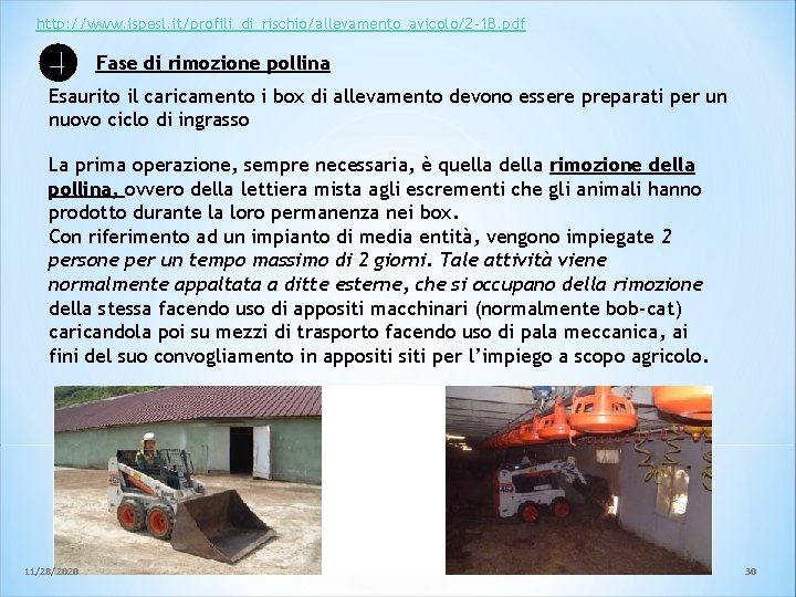 http: //www. ispesl. it/profili_di_rischio/allevamento_avicolo/2 -1 B. pdf Fase di rimozione pollina Esaurito il caricamento http: //www. ispesl. it/profili_di_rischio/allevamento_avicolo/2 -1 B. pdf Fase di rimozione pollina Esaurito il caricamento
