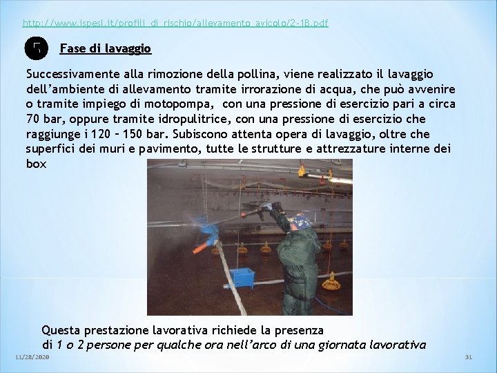 http: //www. ispesl. it/profili_di_rischio/allevamento_avicolo/2 -1 B. pdf Fase di lavaggio Successivamente alla rimozione della http: //www. ispesl. it/profili_di_rischio/allevamento_avicolo/2 -1 B. pdf Fase di lavaggio Successivamente alla rimozione della