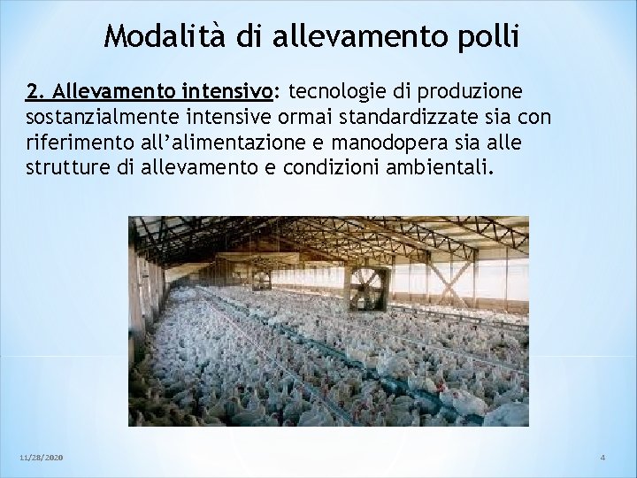 Modalità di allevamento polli 2. Allevamento intensivo: tecnologie di produzione sostanzialmente intensive ormai standardizzate Modalità di allevamento polli 2. Allevamento intensivo: tecnologie di produzione sostanzialmente intensive ormai standardizzate