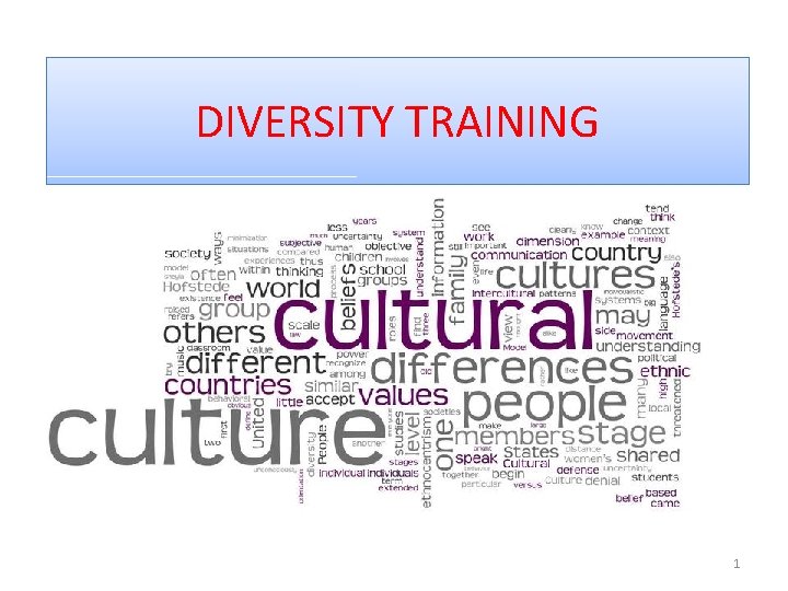 DIVERSITY TRAINING 1 