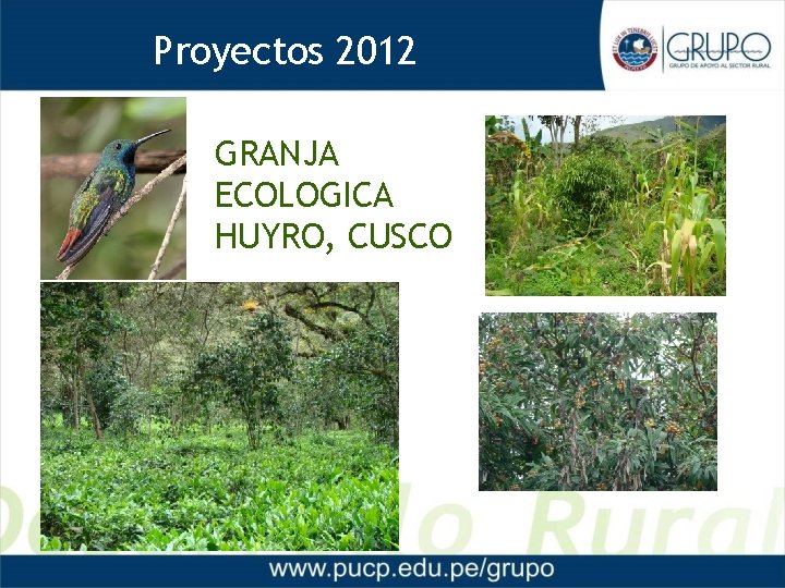 Proyectos 2012 GRANJA ECOLOGICA HUYRO, CUSCO 