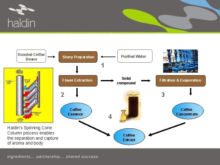 Haldin’s Coffee Production Flowchart Introduction Roasted Coffee Beans Purified Water Slurry Preparation 1 Body