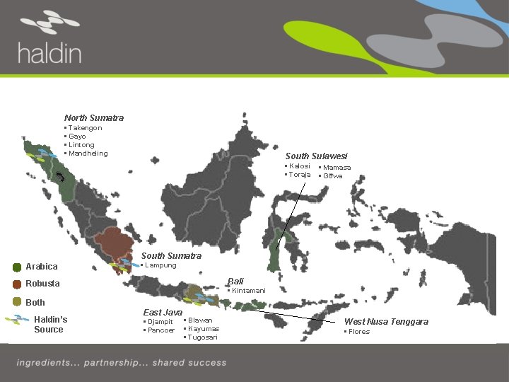 Haldin’s Coffee Source - Indonesia North Sumatra • Takengon • Gayo • Lintong •