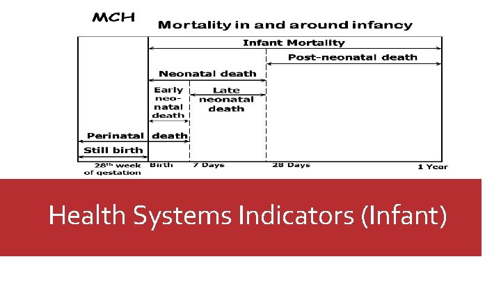 Health Systems Indicators (Infant) 