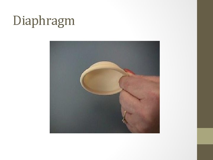 Diaphragm 