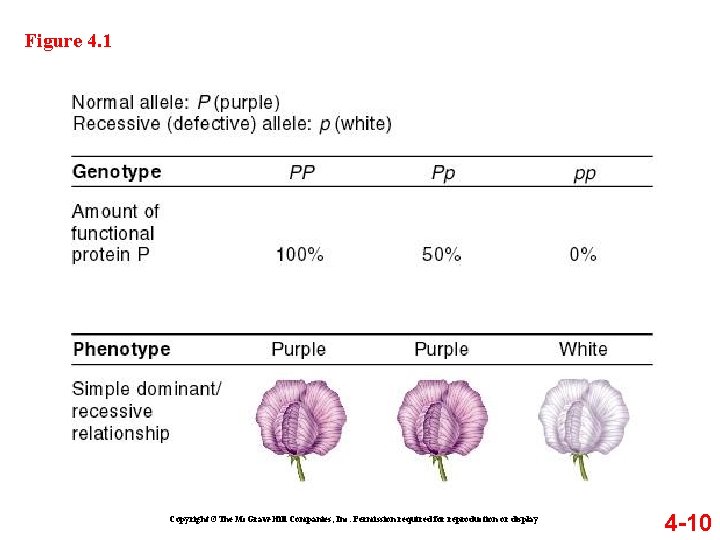 Figure 4. 1 Copyright ©The Mc. Graw-Hill Companies, Inc. Permission required for reproduction or