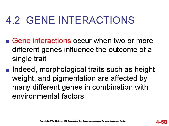 4. 2 GENE INTERACTIONS n n Gene interactions occur when two or more different