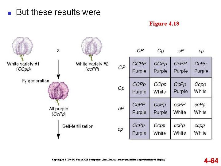 n But these results were Figure 4. 18 Copyright ©The Mc. Graw-Hill Companies, Inc.